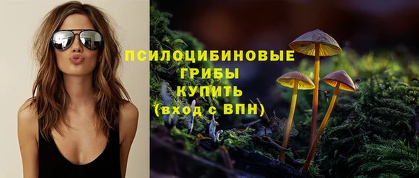 таблы Алзамай