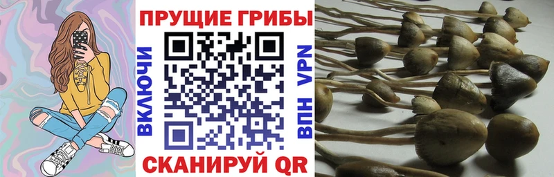 наркота  Ак-Довурак  Галлюциногенные грибы ЛСД 