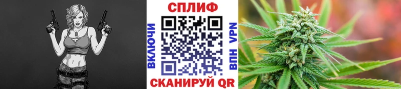 блэк спрут зеркало  Ак-Довурак  Канабис семена  купить  